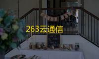 263云通信